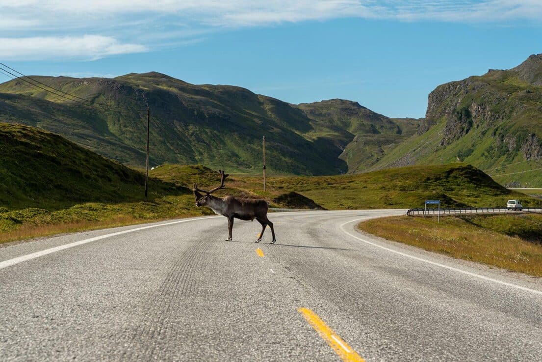 Norvegia - Nordkapp